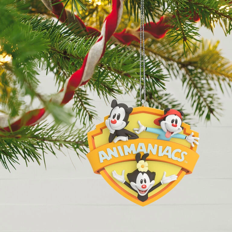 Ornament Shop -Ornament Shop Animaniacs Logo Keepsake Ornament 1899QXI6057 02