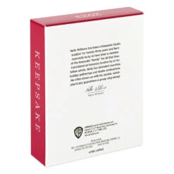 Hallmark Animaniacs™ Zany To The Max! Ornament -Ornament Shop Animaniacs Logo Keepsake Ornament 1899QXI6057 05