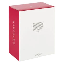 Hallmark The Peanuts® Gang A Charlie Brown Christmas Ornament And Stocking Hanger -Ornament Shop Charlie Brown Tree Keepsake OrnamentStocking Hanger 1QSB6299 05