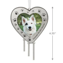 Hallmark Forever In Our Hearts Metal Photo Frame Pet Memorial Ornament -Ornament Shop HeartShaped Pet Picture Frame Keepsake Ornament 1999QHX3087 03