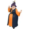 Hallmark Disney Hocus Pocus Mary Sanderson Ornament -Ornament Shop Hocus Pocus Mary Sanderson Keepsake Ornament 1999QFO5297 01
