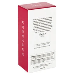 Hallmark Hot Wheels™ Mach Speeder™ Ornament With Light -Ornament Shop Hot Wheels Mac Speeder Keepsake Ornament 1999QXI7389 05