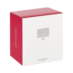 Hallmark Snowflake Ornament And Stocking Hanger -Ornament Shop Keepsake Snowflake Ornament and Stocking Hanger 1999QSB6303 05