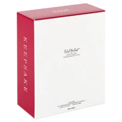 Hallmark Star Wars: The Mandalorian™ The Mandalorian's N-1 Starfighter™ Ornament -Ornament Shop Mandalorian Starfighter Keepsake Ornament 2999QXI7119 05