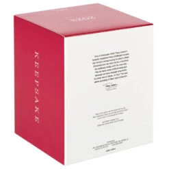 Hallmark The Peanuts® Gang Christmastime Is Here Musical Ornament With Motion -Ornament Shop Peanuts Gang Ice Skating Keepsake Ornament 3999QXI7037 05