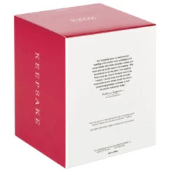 Hallmark Playful Penguins On Ferris Wheel Musical Ornament With Light And Motion -Ornament Shop Penguins on Ferris Wheel Keepsake Ornament 4499QGO2679 05