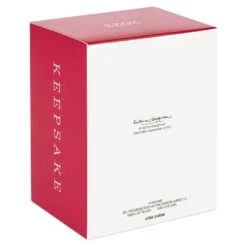 Hallmark Star Wars: Return Of The Jedi™ A Curious Encounter On Endor™ Ornament -Ornament Shop Return of the Jedi Wicket Ewok Keepsake Ornament 2699QXI7097 05