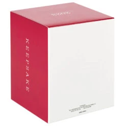 Hallmark Star Wars: The Book Of Boba Fett™ Riding Into The Battle Ornament -Ornament Shop Star Wars Boba Fett on Rancor Keepsake Ornament 2499QXI7087 05