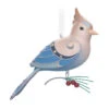 Hallmark The Beauty Of The Birds Leucistic Steller's Jay Ornament -Ornament Shop Stellers Jay Blue Bird Keepsake Ornament 1799QXE3307 01